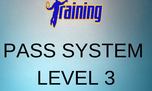 PASS System Level 3